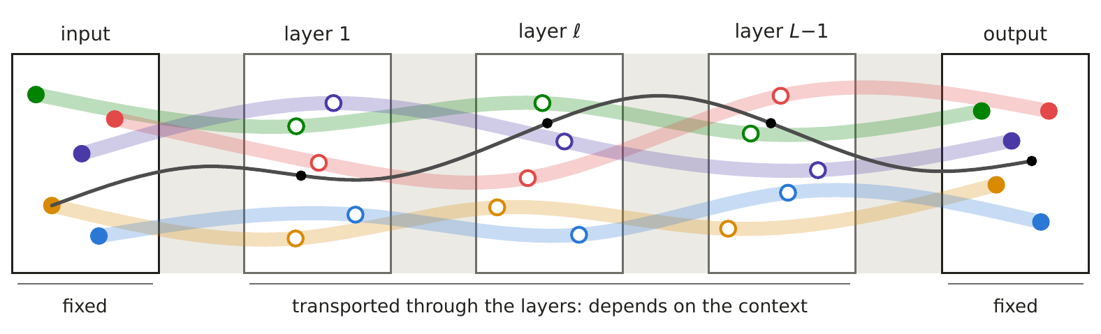 How tokens' directions are transported through the layers